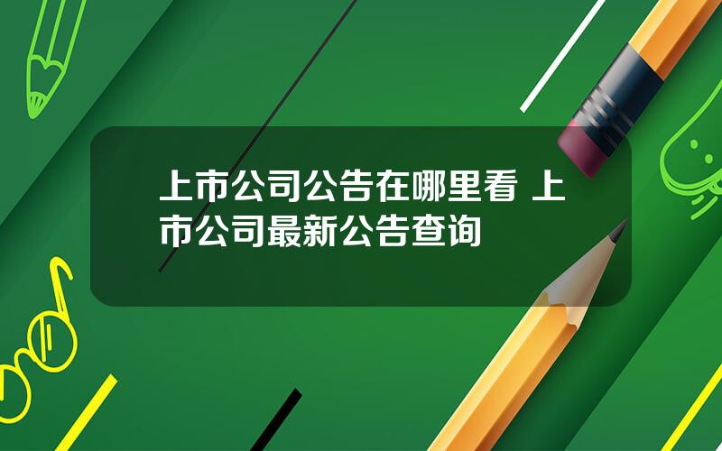 上市公司公告在哪里看 上市公司最新公告查询